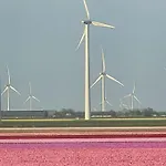 De Bosuil Putten