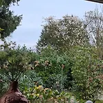 De Bosuil Casa vacanze