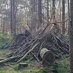 De Bosuil *