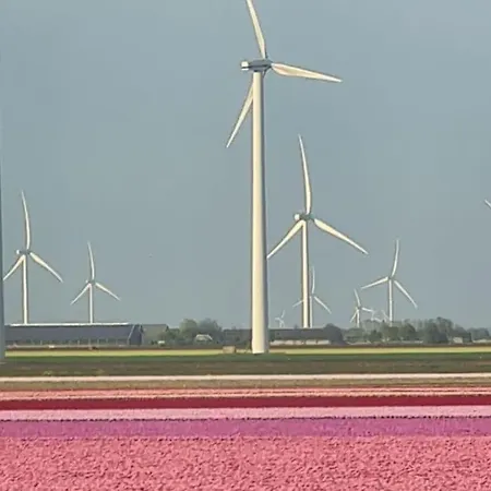 De Bosuil Putten