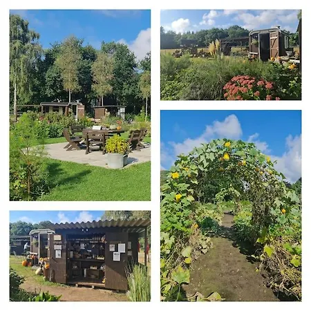 Ferienhaus De Bosuil *