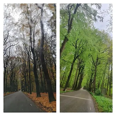 Сasa de vacaciones De Bosuil Putten