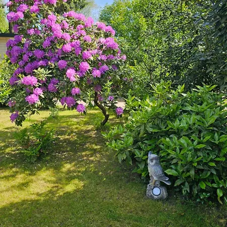 De Bosuil Сasa de vacaciones *