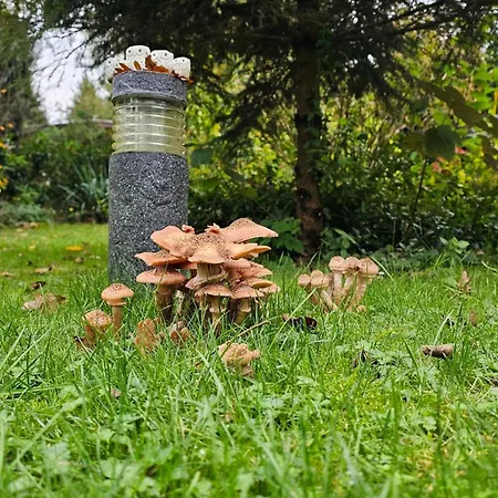 De Bosuil * Putten