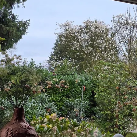 De Bosuil Сasa de vacaciones