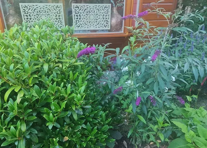 Semesterbostad De Bosuil