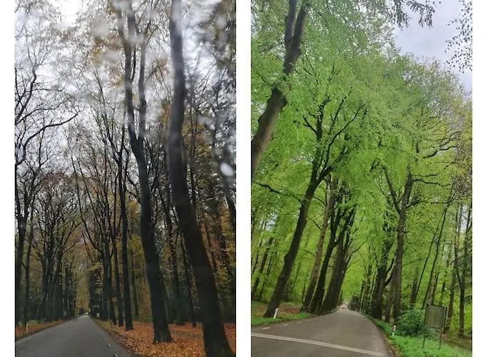 Semesterbostad De Bosuil Putten