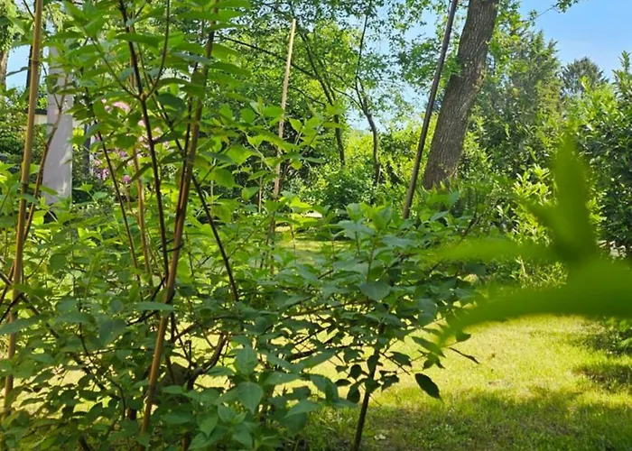 Сasa de vacaciones De Bosuil