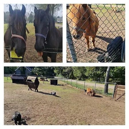 بيت للعطل De Bosuil بوتِنْ