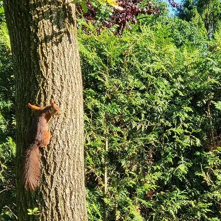 De Bosuil بيت للعطل *
