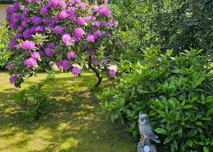 De Bosuil Vakantiehuis *