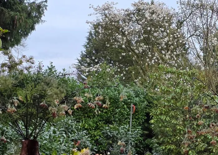 De Bosuil Сasa de vacaciones